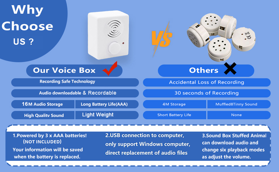 Voice Box for Recordable Gifts