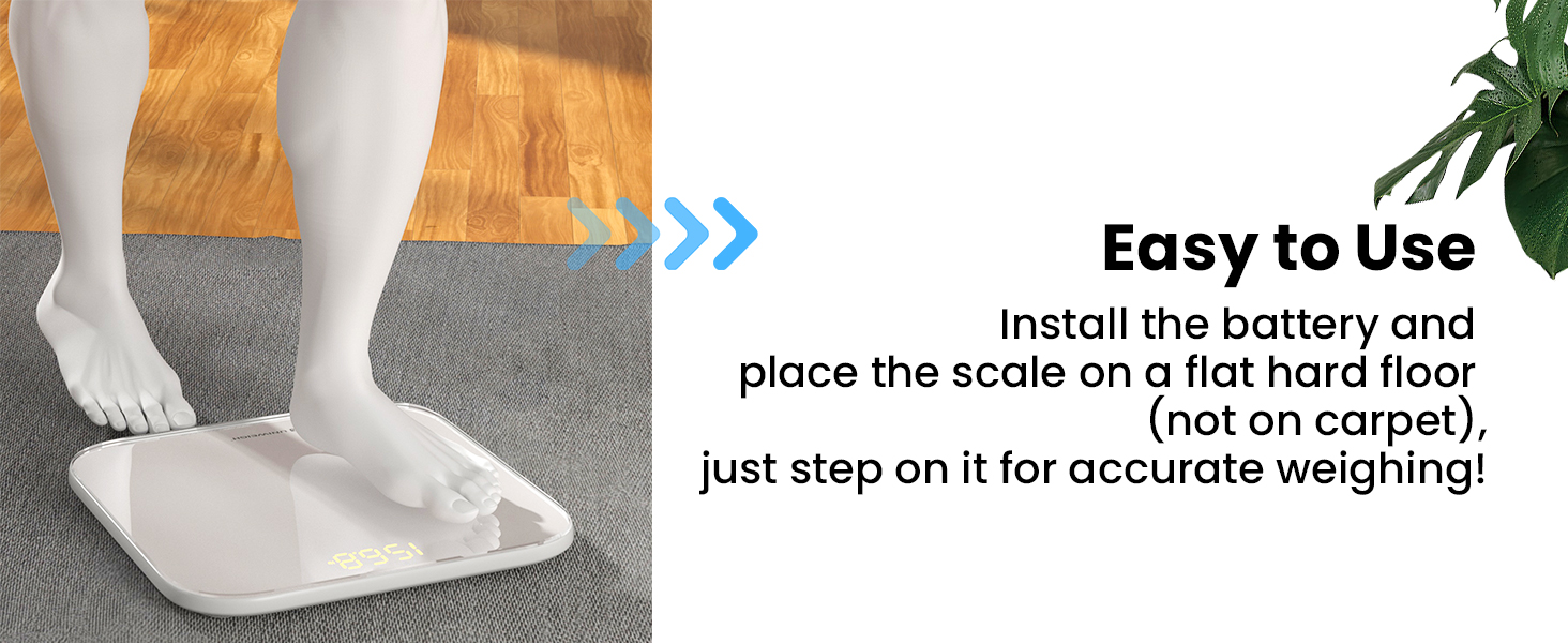 bathroom scales for weight