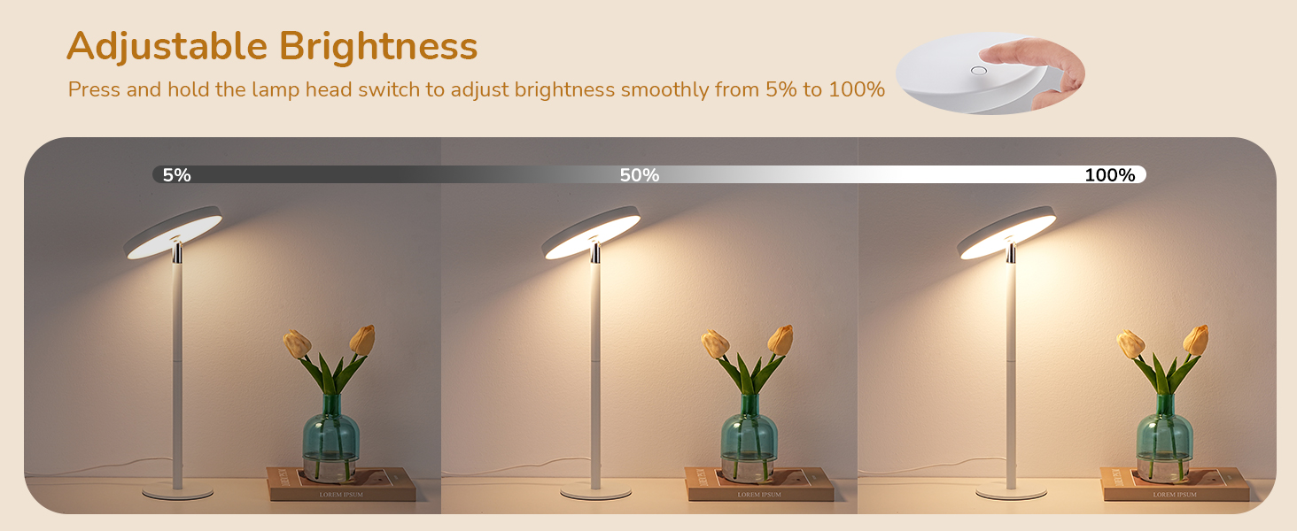 Adjustable Brightness