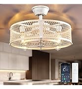 Depuley Outdoor Ceiling Fan with Light: 20" Caged Ceiling Fans with Remote App Control for Patio ...