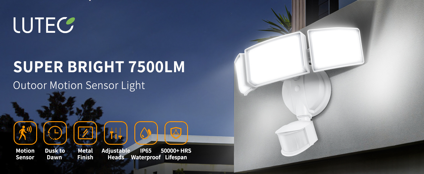 Outdoor Motion Sensor Light