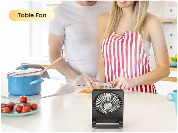 Table fan