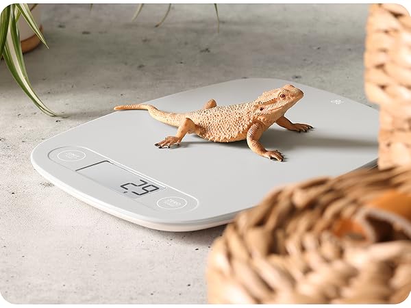 Pet weighing on greater goods kitchen scale grams and ounces display