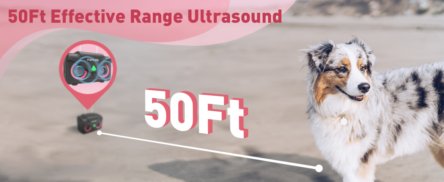 barking dog silencer