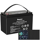 Renogy 12V 100Ah Lithium LiFePO4 Deep Cycle Battery with Bluetooth with Smart RV Energy Monitor, ...