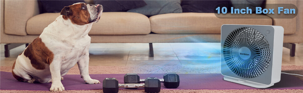 10 inch box fan, small fan, desk fan, portable fan, bed fan, table fan, fan for bedroom, small fans