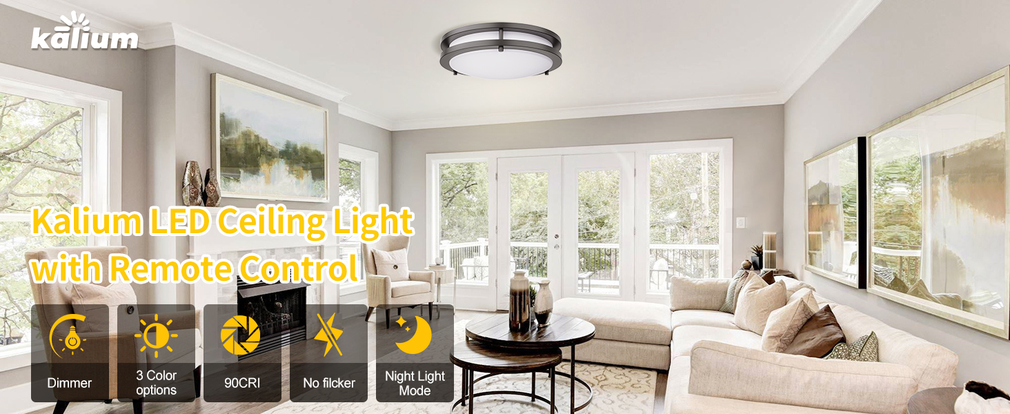 Ceiling light with remote