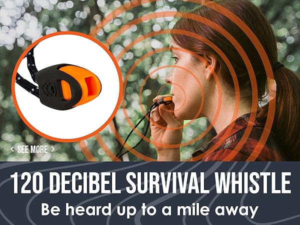 Whistle