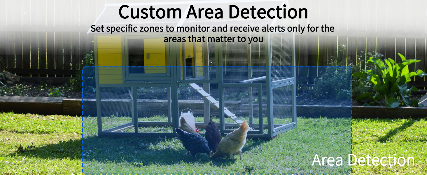 motion detection camera