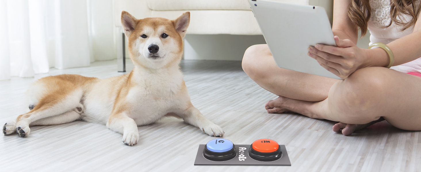 Pet Training Buzzer