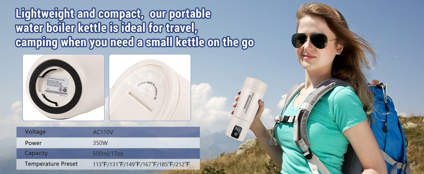 portable electric kettle