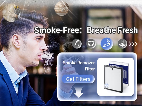 air purifier