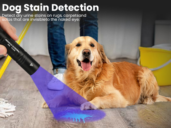 uv flashlight;black light for pet urine detection;black light flashlight mini