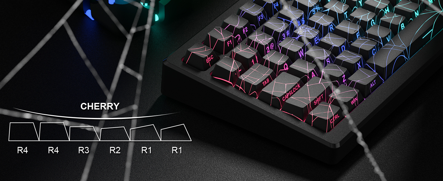 XVX Spider Web Keycaps Shine Through Keycaps cherry Profile, Lines Backlit, Side Printed - Black