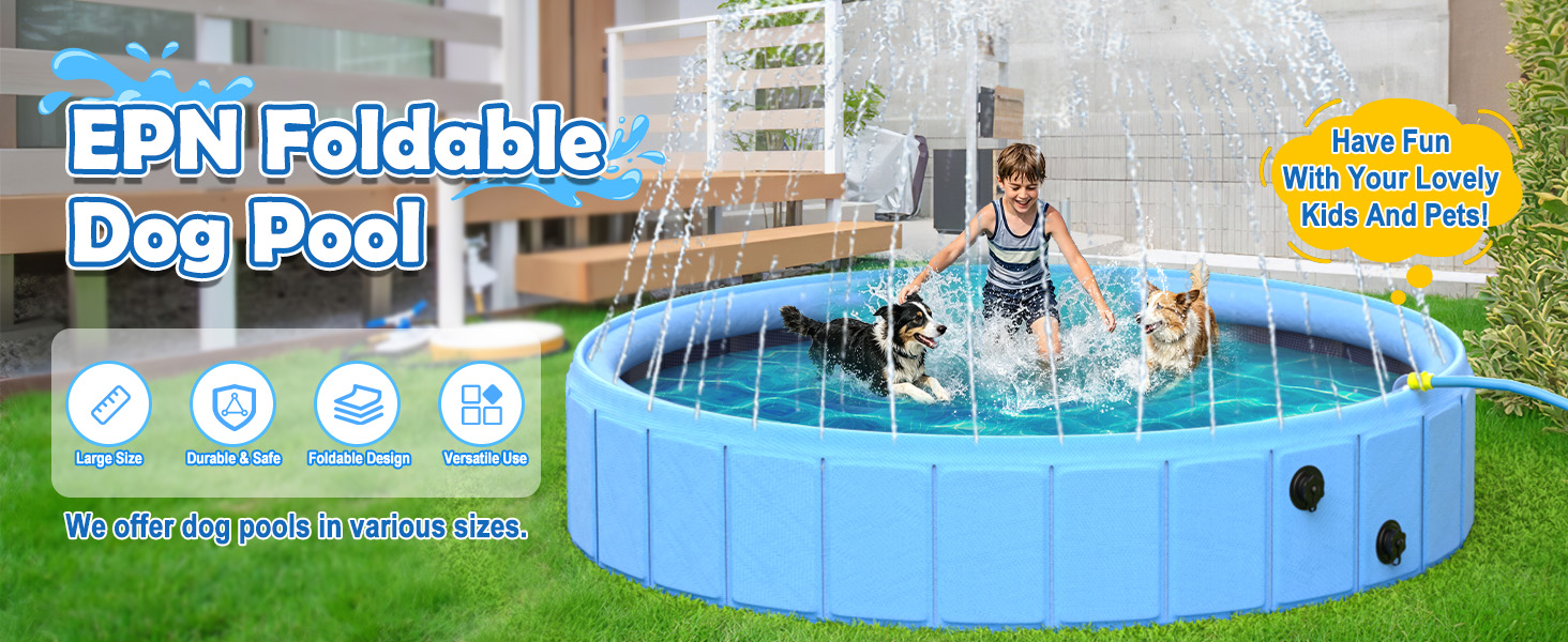 Dog Pool