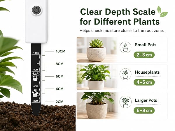 Clear Depth Scale for Different Plants