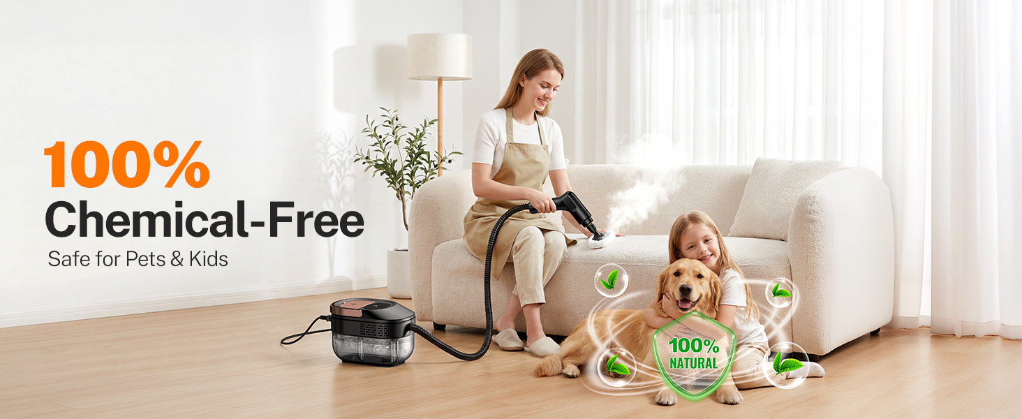 steam cleaner for home