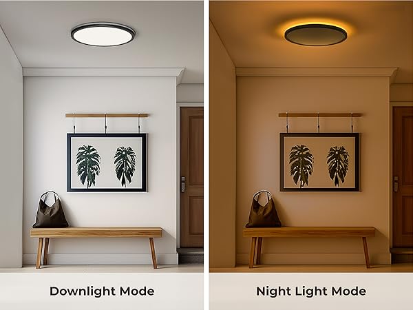 remote control ceiling light
