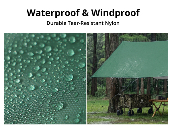 tarp 3-1