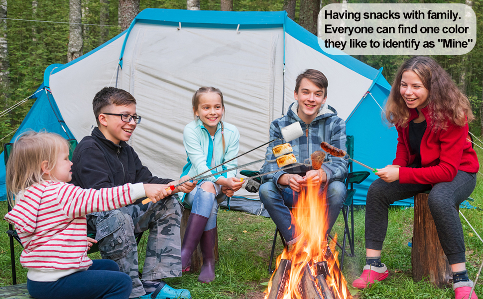 marshmallow roasting skewers