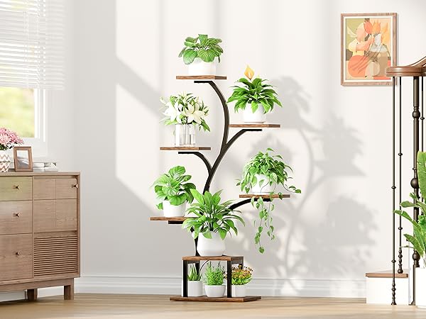 plant shelf indoor