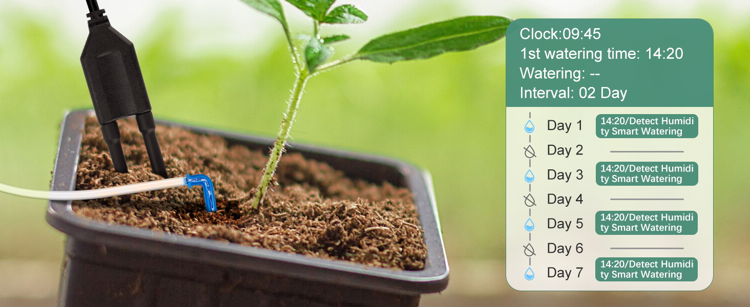 automatic plant waterer