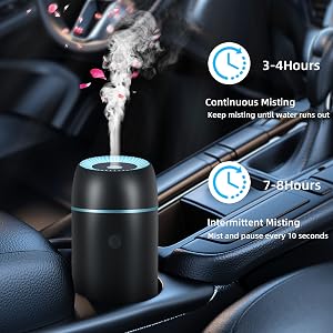 Car diffuser