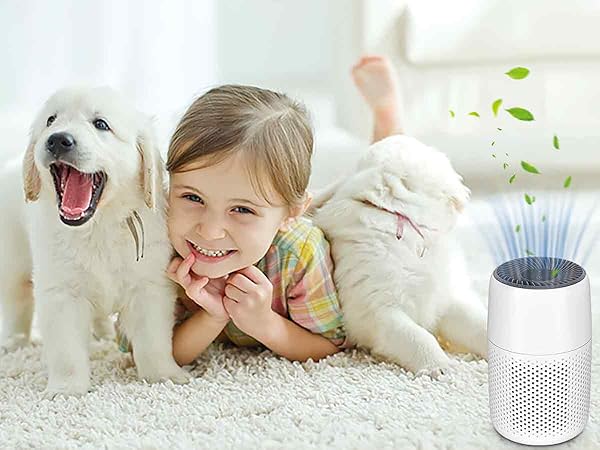 LQ-Mini-AA1200900-A3