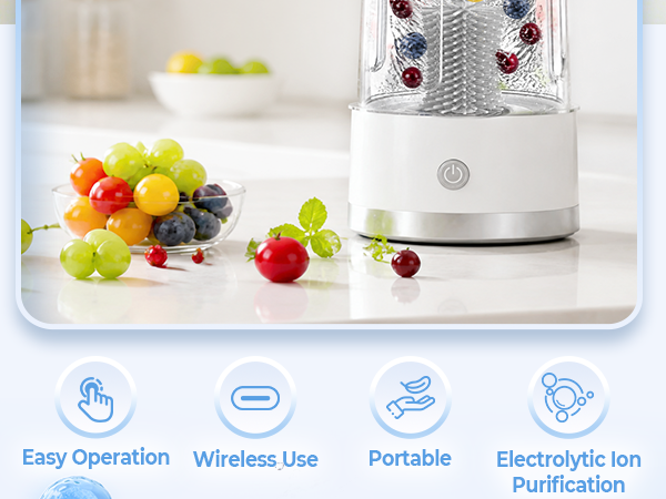 Electric Fruit and Vegetable Washer Machine