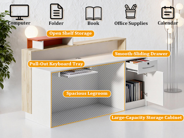 Modern Reception Desk with Counter