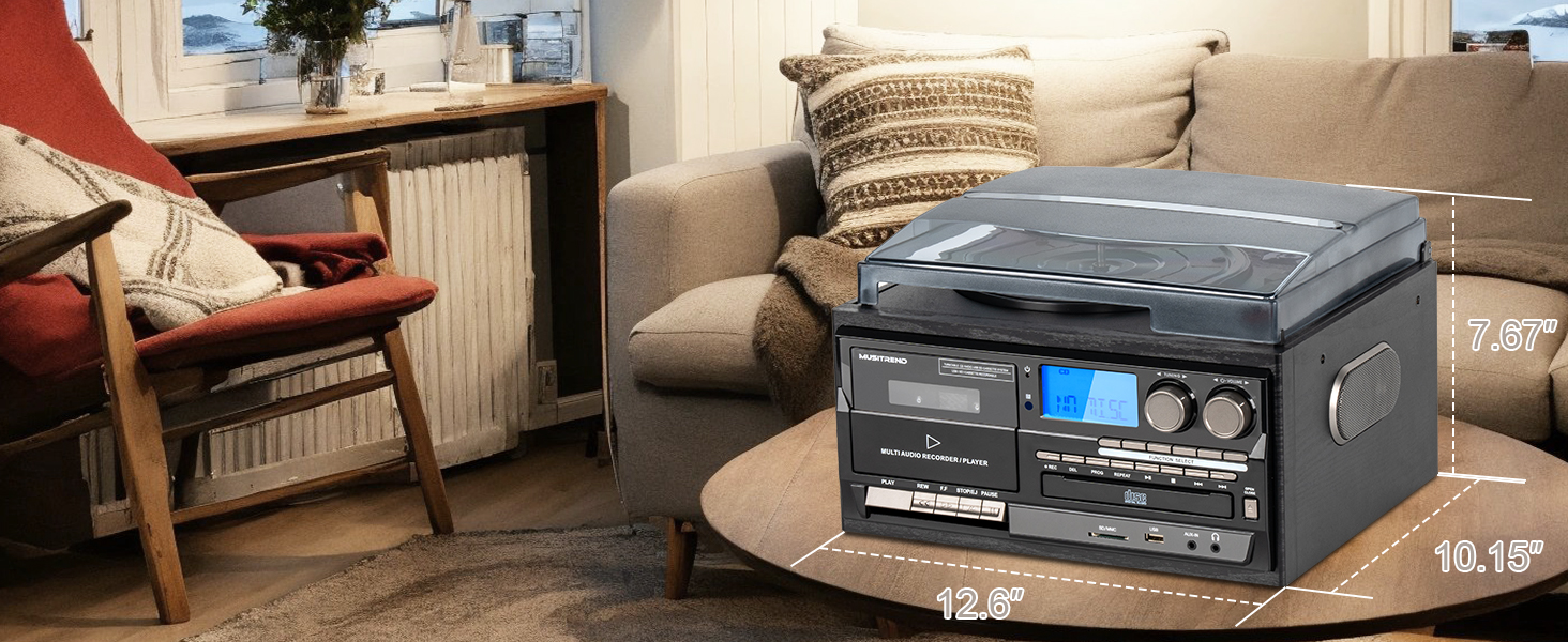 9 in 1 Record Player