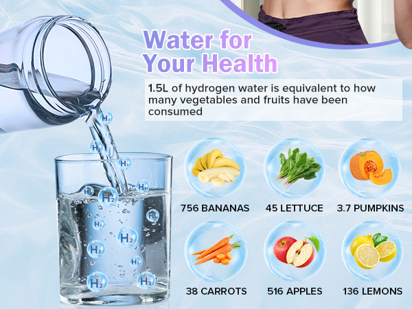 Hydrogen Water Bottle