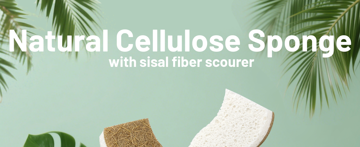 natural cellulose sponge