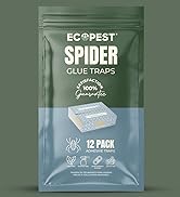 spider glue traps
