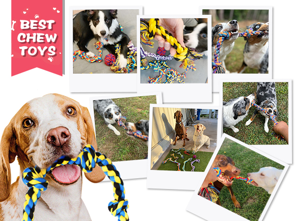 dog ropes 9p-01