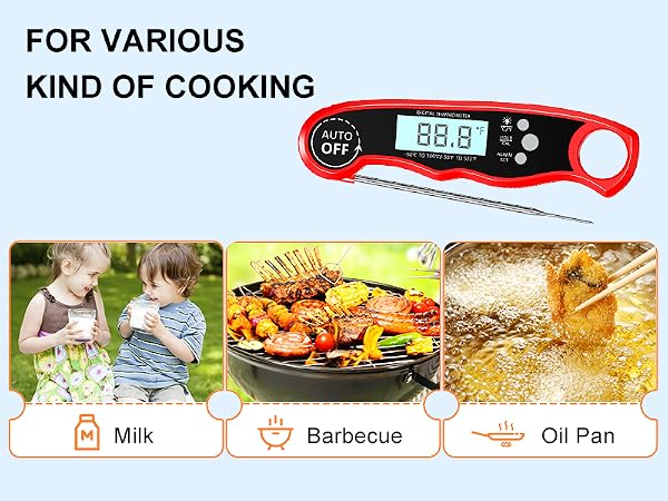 Meat Thermometer