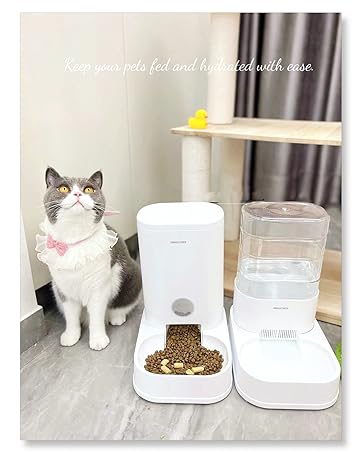 gravity cat feeder and water dispenser