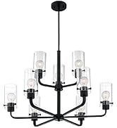 Nuvo 60/7279 Sommerset 9-Light Chandelier with Clear Glass, Matte Black