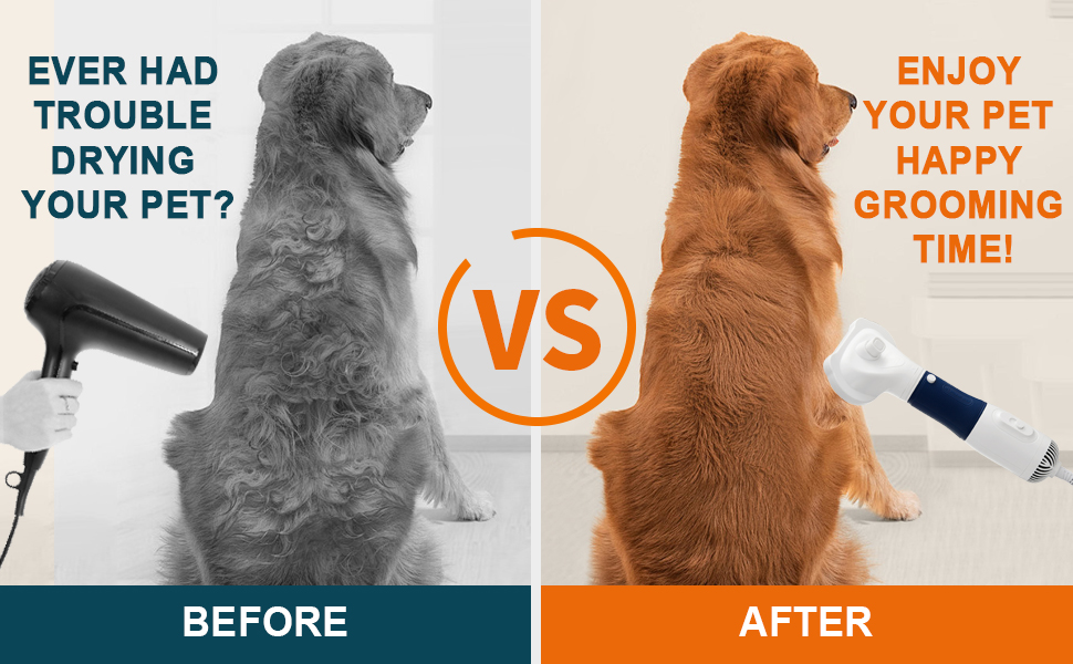 hair dryer dog brushes for grooming cat hair brush oneisall dog hair vacuum &amp;amp; dog grooming kit