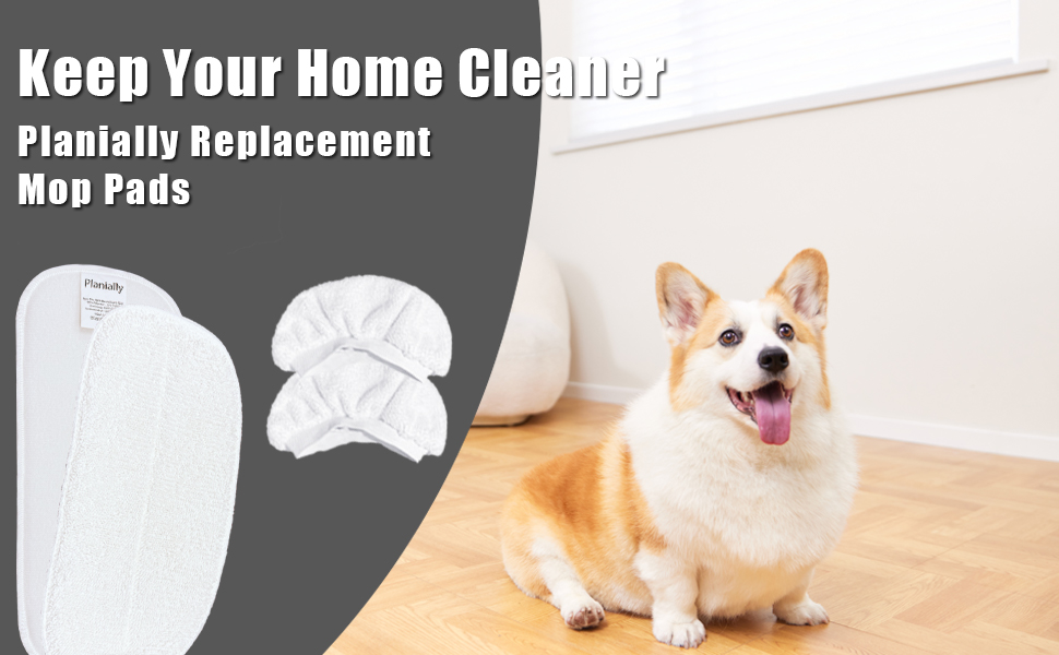 keep your home cleaner