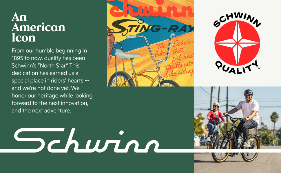 schwinn bike helmet bicycle exercise bikes men mountain adult elliptical hybrid boys cruiser