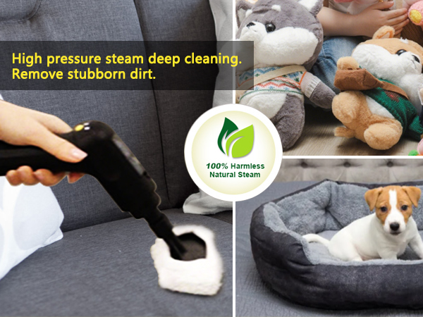 couch steam cleaner