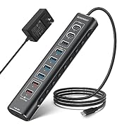 Rosonway 10-Port Powered USB 3.2/USB C Hub 60W with 10Gbps USB-A 3.2, 2 USB-C 3.2, 4 USB 3.0 Data...