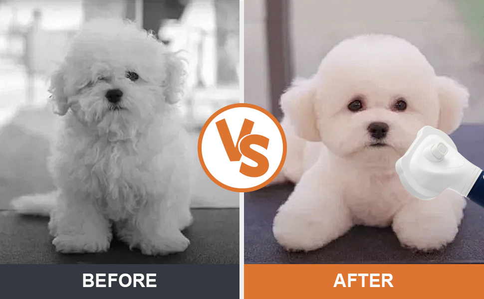 dog hair brush secador de pelo portable hair dryer pet grooming vacuum blowdryers for hair