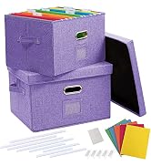 DECOSIS 2 Pack File Box with 10 Hanging Folder &amp; Plastic Slide, Collapsible Linen Filling Storage...