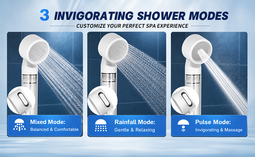 Shower Head with Handheld
