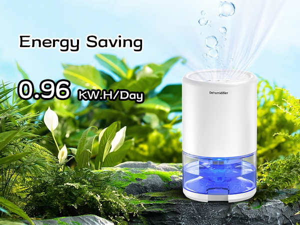 dehumidifier