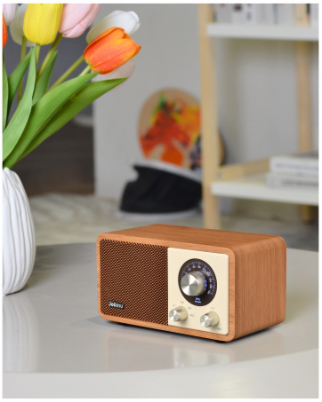 Vintage FM radio Bluetooth Speaker