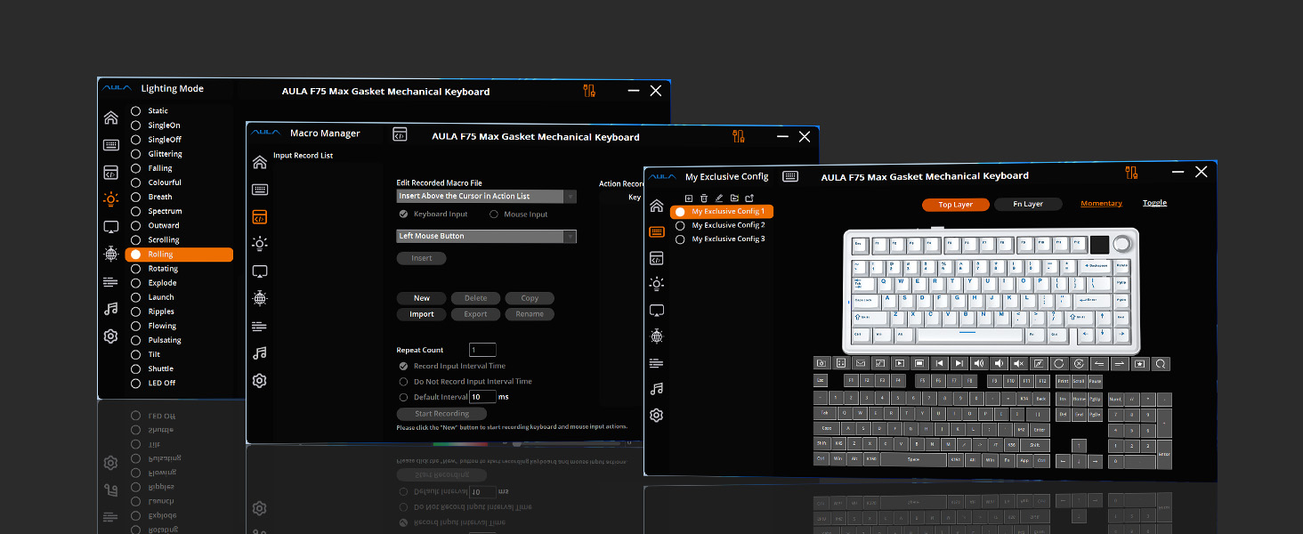 a screenshot of the software on the left.