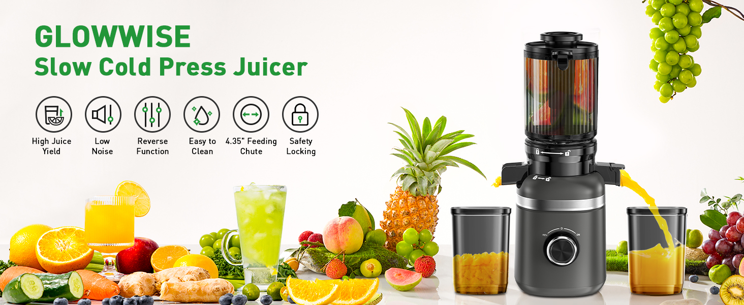 Slow Cold Press Juicer